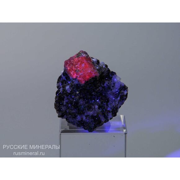 Faberge Gold Plt Violet Purple Egg Pendant Sterling Silver Russian Necklace Jewl - Picture 4 of 16